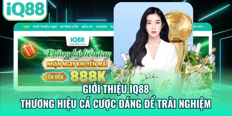 Giới thiệu IQ88 - thương hiệu cá cược đáng để trải nghiệm