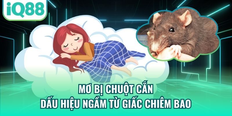 Mơ Bị Chuột Cắn - Dấu Hiệu Ngầm Từ Giấc Chiêm Bao