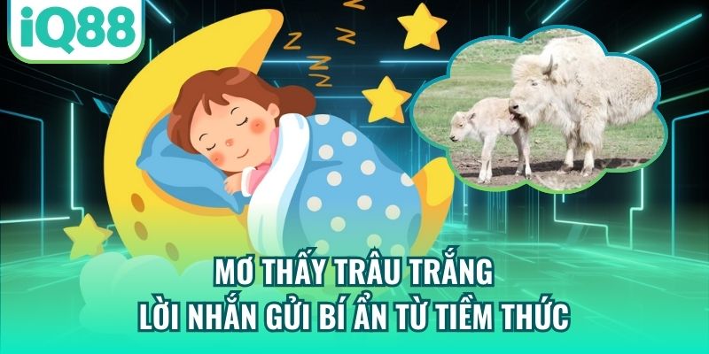 Mơ Thấy Trâu Trắng - Lời Nhắn Gửi Bí Ẩn Từ Tiềm Thức