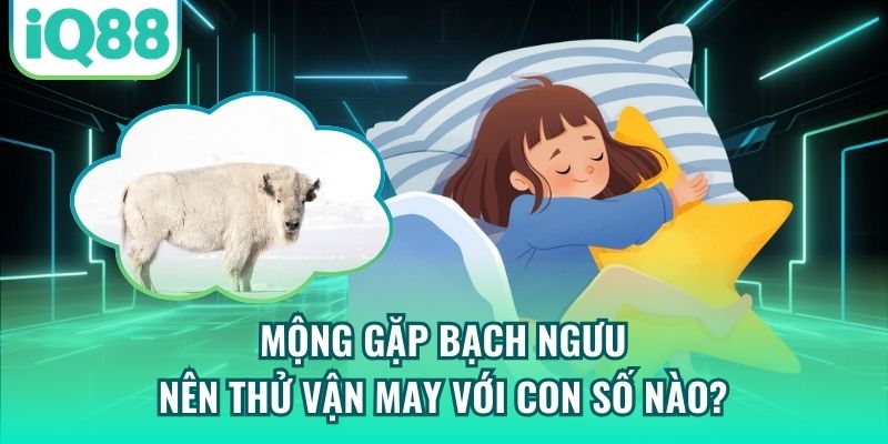 Mộng gặp bạch ngưu nên thử vận may với con số nào?