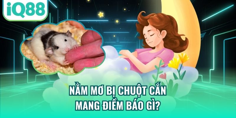 Nằm mơ bị chuột cắn mang điềm báo gì?