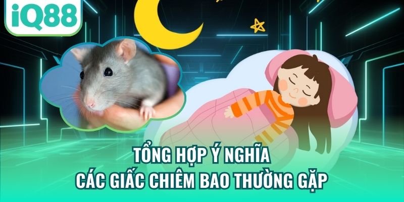 Tổng hợp ý nghĩa các giấc chiêm bao thường gặp